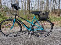 Citybike Damen Fahrrad All Terrain Bike 28" Nordrhein-Westfalen - Möhnesee Vorschau