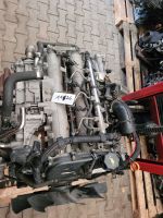 Motor Iveco 3.0 Biturbo 170PS F1CE3481C F1CE3481K - Komplett Brandenburg - Blankenfelde-Mahlow Vorschau