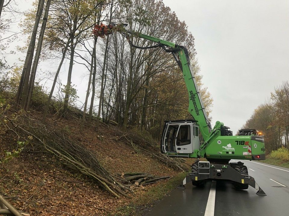 Forstwirt/Baumpfleger gesucht in Horn-Bad Meinberg