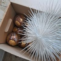 Selbtsgebastelte Weihnachtskugeln, Plastiksterne- zu verschenken Hessen - Fulda Vorschau