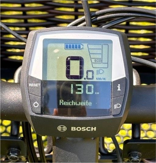 E-Bike, Riese und Müller Swing in Rödinghausen