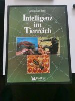 Intelligenz im Terreich Nordrhein-Westfalen - Soest Vorschau