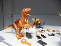 PLAYMOBIL 4162 DINO-EXPEDITION Bonn - Buschdorf Vorschau