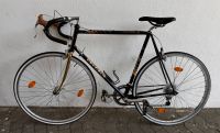 Peugeot Rennrad - Gold Special 32 Zoll Hessen - Darmstadt Vorschau