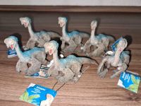 Dinosaurier Schleich Rheinland-Pfalz - Schifferstadt Vorschau