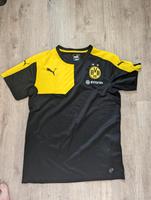 BVB Trainingsshirt Leipzig - Marienbrunn Vorschau