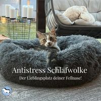 CallMeFilou Antistress Schlafwolke Gr. M - Hundebett, Katzenbett Hessen - Fuldabrück Vorschau