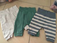 Baby jungen Jogginghosen Gr. 62/68 neu Schleswig-Holstein - Rendsburg Vorschau