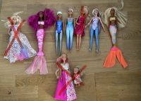 Diverse Barbies Niedersachsen - Bad Münder am Deister Vorschau