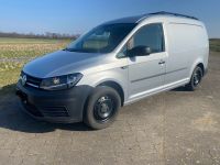 VW Caddy Maxi 2.0 TDI Ausbau Klima AHK Scheckheft Brandenburg - Lenzen (Elbe) Vorschau