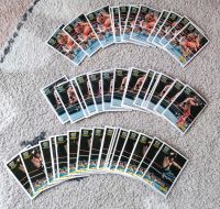 45 WWF Panini Caps Karten - WWE Wrestling Sachsen - Schwarzenberg (Erzgebirge) Vorschau