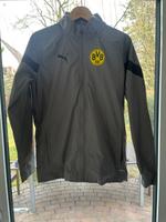 BVB Borussia Dortmund PUMA Regenjacke in grau - Gr. S - Topp! Berlin - Zehlendorf Vorschau