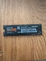 Samsung 960 EVO 250Gb Rheinland-Pfalz - Neustadt an der Weinstraße Vorschau