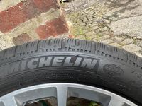 Michelin Pilot Alpin 245/45/18 Winterreifen .2 Stück Nordrhein-Westfalen - Remscheid Vorschau