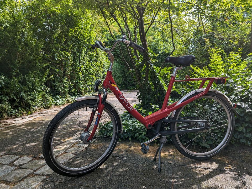 Fahrrad Riese und Müller in Sereetz