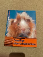 Buch über Meerschweinchen zu verschenken Baden-Württemberg - Friedrichshafen Vorschau