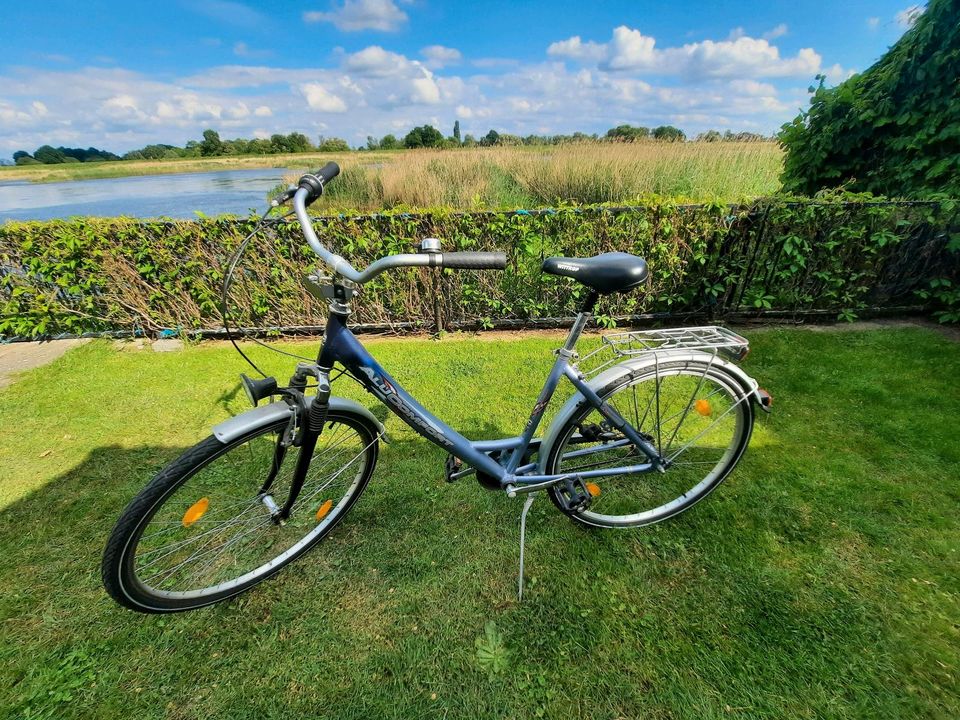 Damenfahrrad 28 Zoll in Lebus