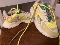 Neuer noch nie getragenen Originalen Lacoste Turnschuh zu verkauf Bonn - Ippendorf Vorschau