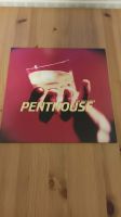 Penthouse – My Idle Hands Vinyl Punk Indie Alternative Noise Niedersachsen - Lüneburg Vorschau