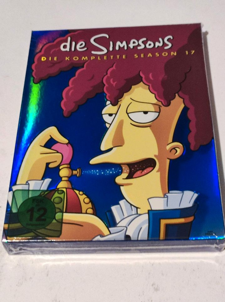 Die Simpsons Sammlung in Haina