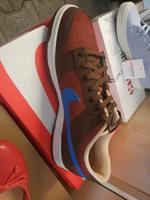 Nike Dunk Low Retro grösse 46 Neu Hessen - Trebur Vorschau