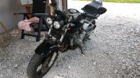 HONDA Hornet 600 ccm Bayern - Prichsenstadt Vorschau