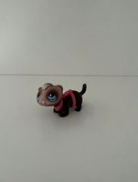 Littlest Pet Shop Spielfigur Frettchen #33 Sammelfigur LPS Hessen - Hanau Vorschau