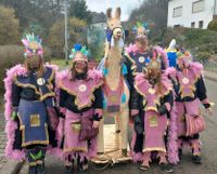 Gruppenkostüm, Karnevalskostüm, Faschingskostüm, Fasching, Rheinland-Pfalz - Idar-Oberstein Vorschau