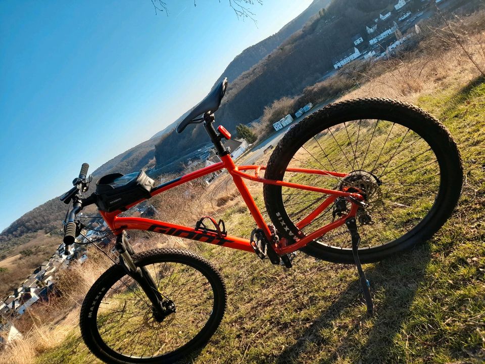 Mountainbike Giant Talon in Dillenburg