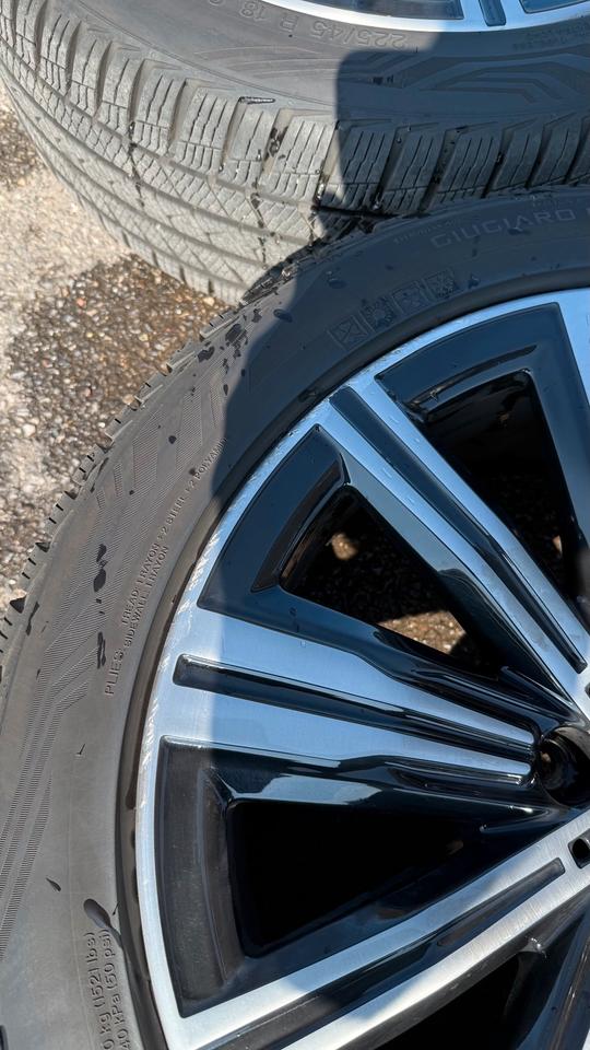BMW 782 Bicolor Felgen 18 Zoll Radsatz Allwetterreifen RDKS in Faßberg