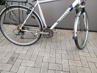 28 Zoll Fahrrad Herren Shimano Deore LX Hercules Herzogtum Lauenburg - Wohltorf Vorschau