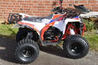 Kinder Quad Speedex Dirtmax 125 Schleswig-Holstein - Travenbrück Vorschau