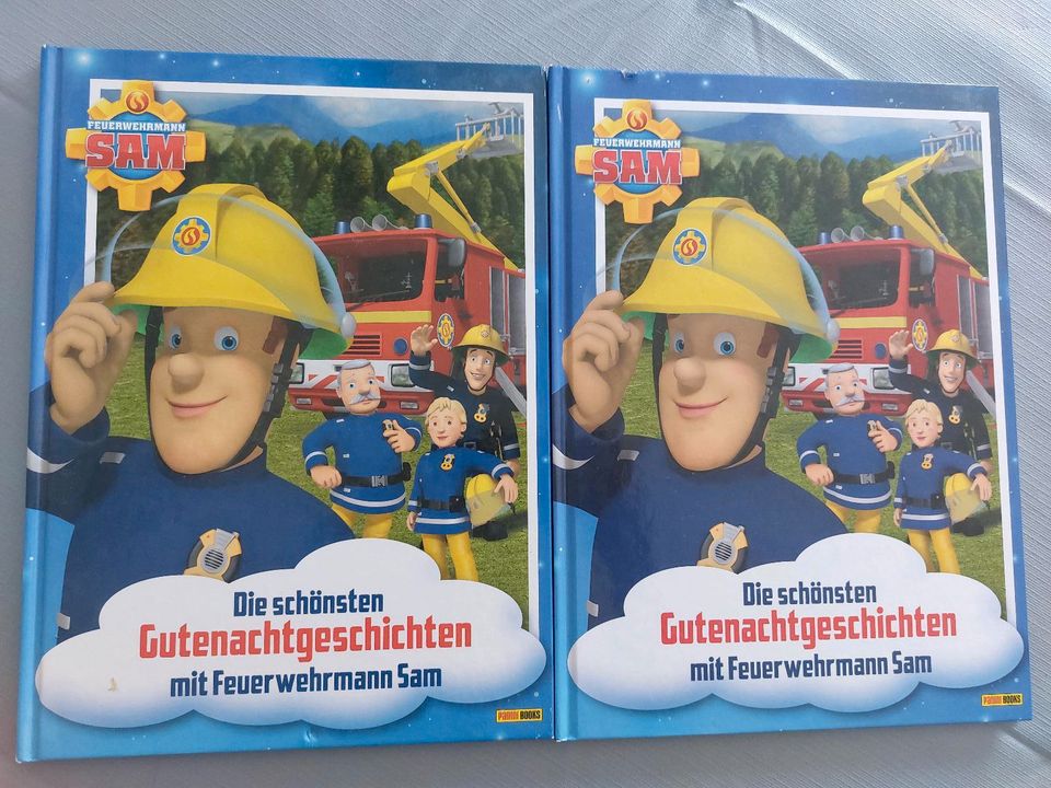 2 Feuerwehrmann Sam Bücher in Iserlohn