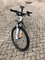 Mountainbike (fast ungenutzt) ! Nordrhein-Westfalen - Lichtenau Vorschau