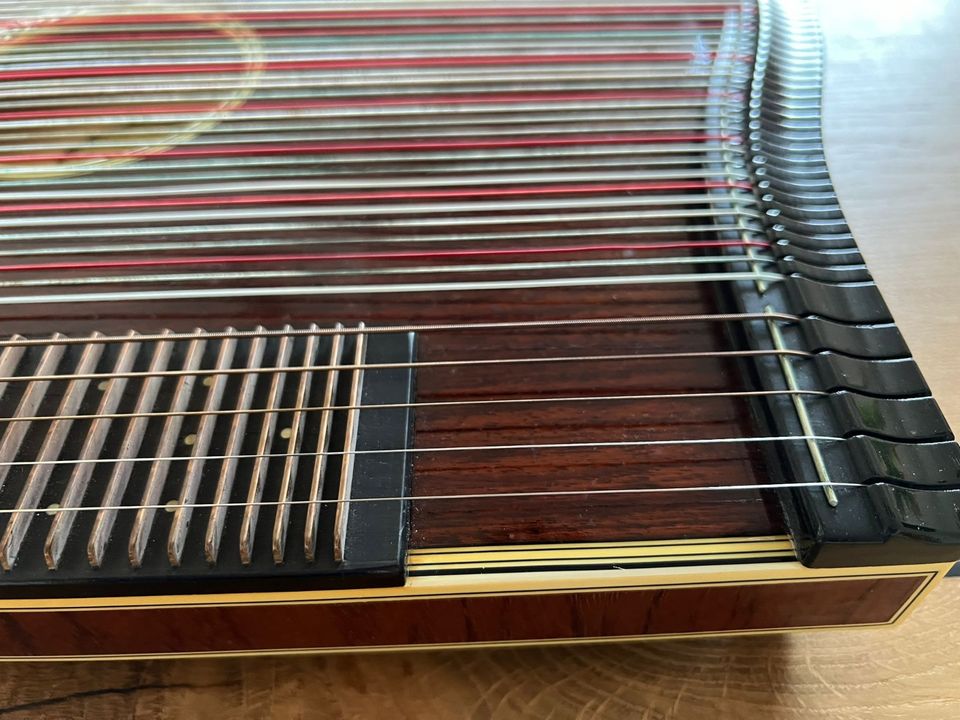 Harfenzither Künstlerinstrument von Wünsche edel mit Zubehör in München