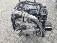 MOTOR NISSAN NAVARA 2.3 BITURBO 190PS YS23 YS23DDTT YS23C270 Komp Sachsen - Torgau Vorschau