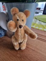 Teddybär  Unikat Niedersachsen - Nordhorn Vorschau