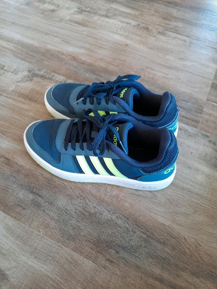 Adidas Sneaker Turnschuh Gr. 38 2/3 in Wyhl