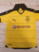 Borussia Dortmund Kinder Trikot / Gr. 164 / BVB Hessen - Mainhausen Vorschau