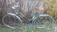 50er Oldie Bauer Damen Rad mit 3 Gänge Altona - Hamburg Bahrenfeld Vorschau