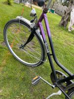 Fahrrad Damenrad rabeneick 28“ Zoll Kreis Pinneberg - Elmshorn Vorschau