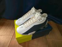 Nike Shox BB4 43 "Dunk of Death" Hessen - Flörsheim am Main Vorschau