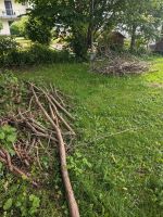 Holz Feuerholz bis 10 cm Bayern - Emmering Vorschau