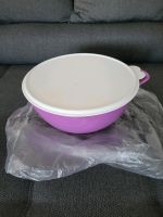 Tupperware Maximilian 7,8 Liter lila Nordrhein-Westfalen - Pulheim Vorschau