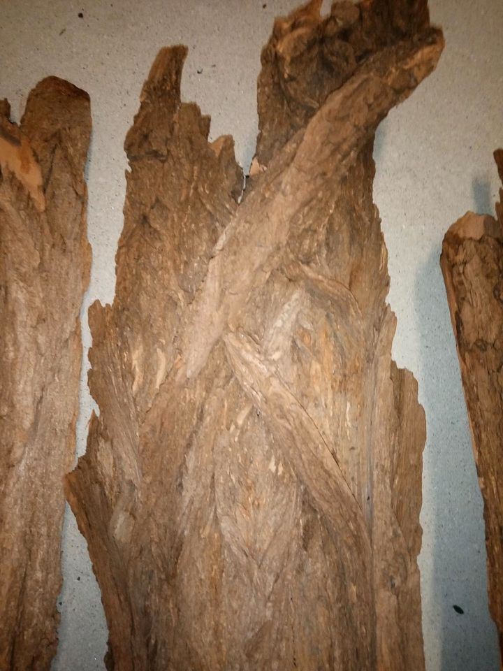 Holzrinde zur Dekoration in Bad Lippspringe