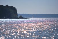 Ferienhaus mit Hund am Plauer See / Mecklenburgische Seenplatte Mecklenburg-Vorpommern - Zislow Vorschau