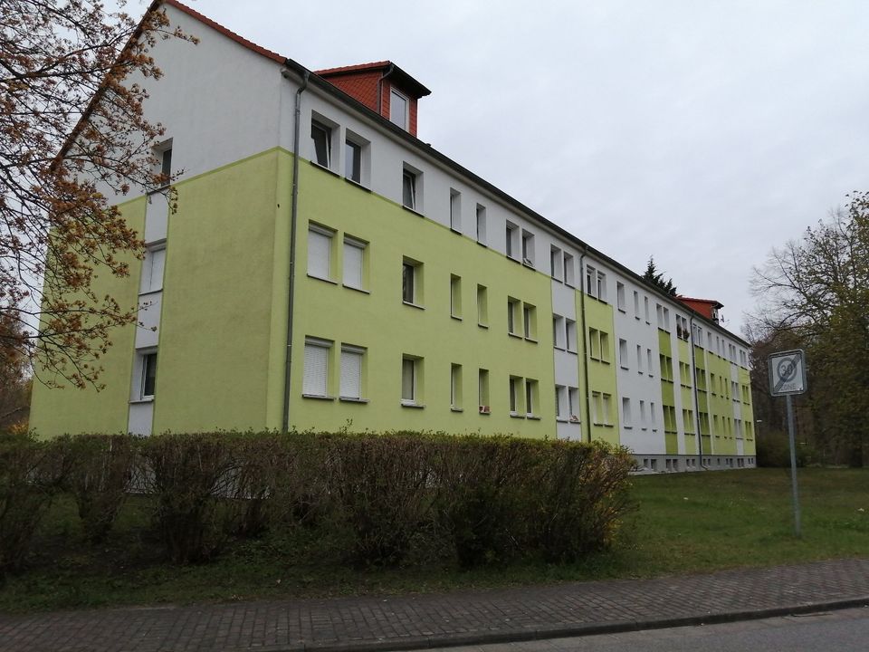 Schöne 2-Raum-Wohnung in Laubusch sucht neue Mieter in Lauta