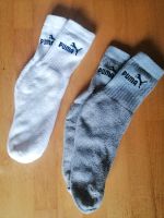 Top Puma Kinder Socken Tennissocken grau & weiß Gr. 31-34 unisex Rheinland-Pfalz - Trier Vorschau