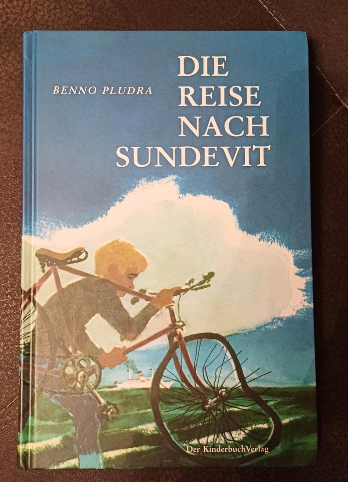Buch "Die Reise nach Sundevit" in Salzatal