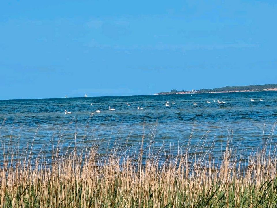 Ferienwohnung Ostsee zwischen Boltenhagen und Wismar ab 66 Euro in Wolfsburg